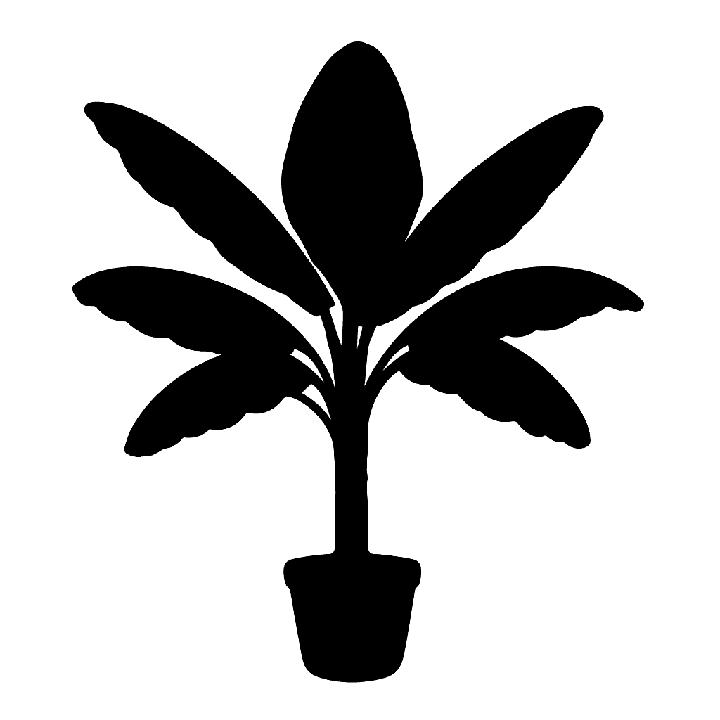 Musa mannii