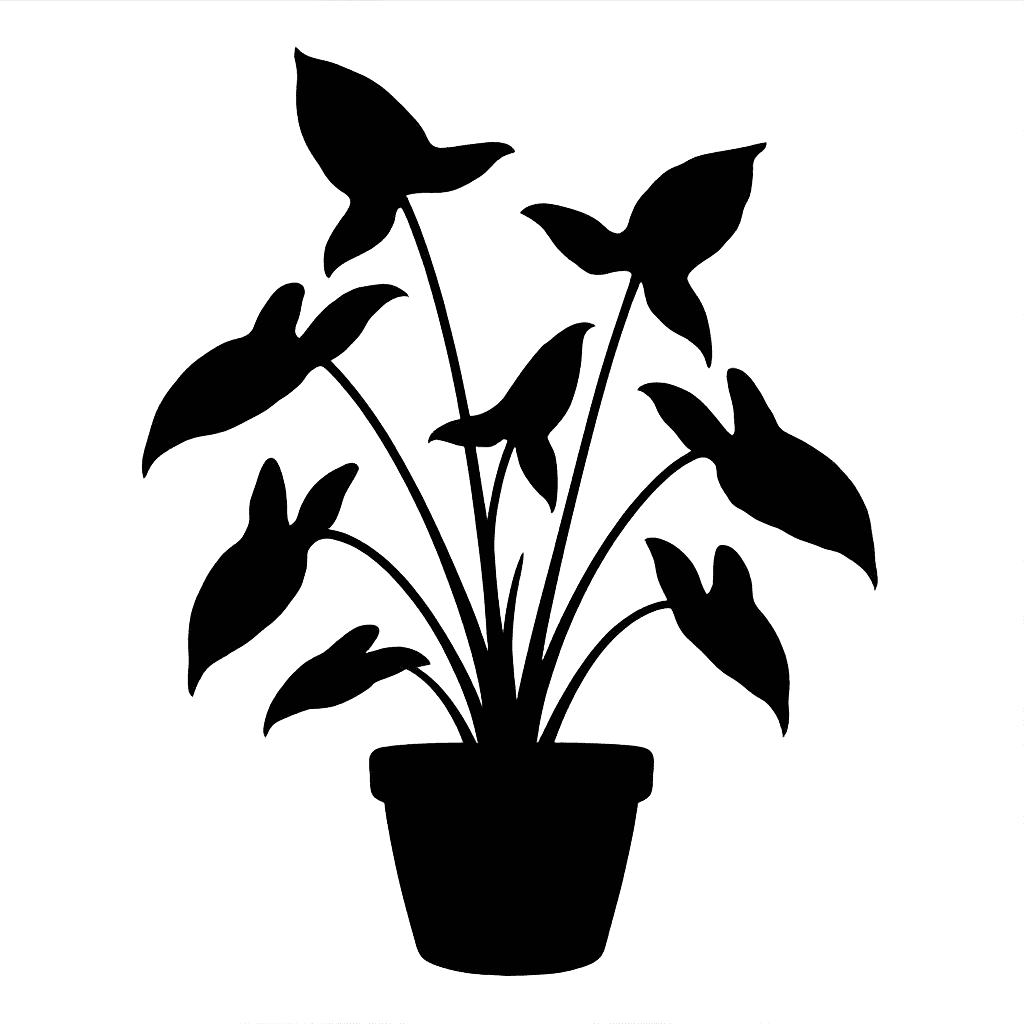 Syngonium auritum