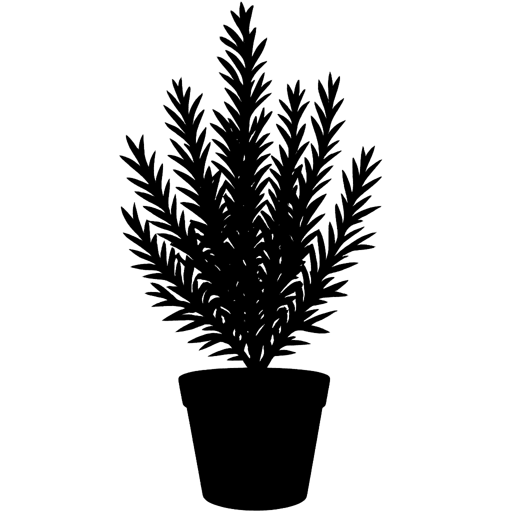Rosmarinus officinalis