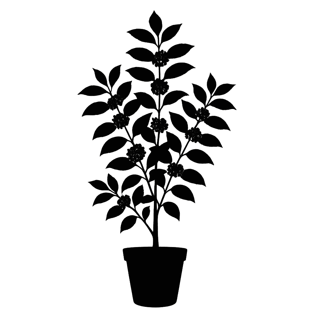 Callicarpa bodinieri