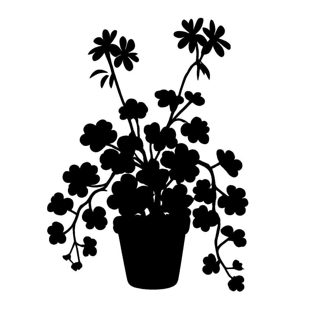 Pelargonium peltatum