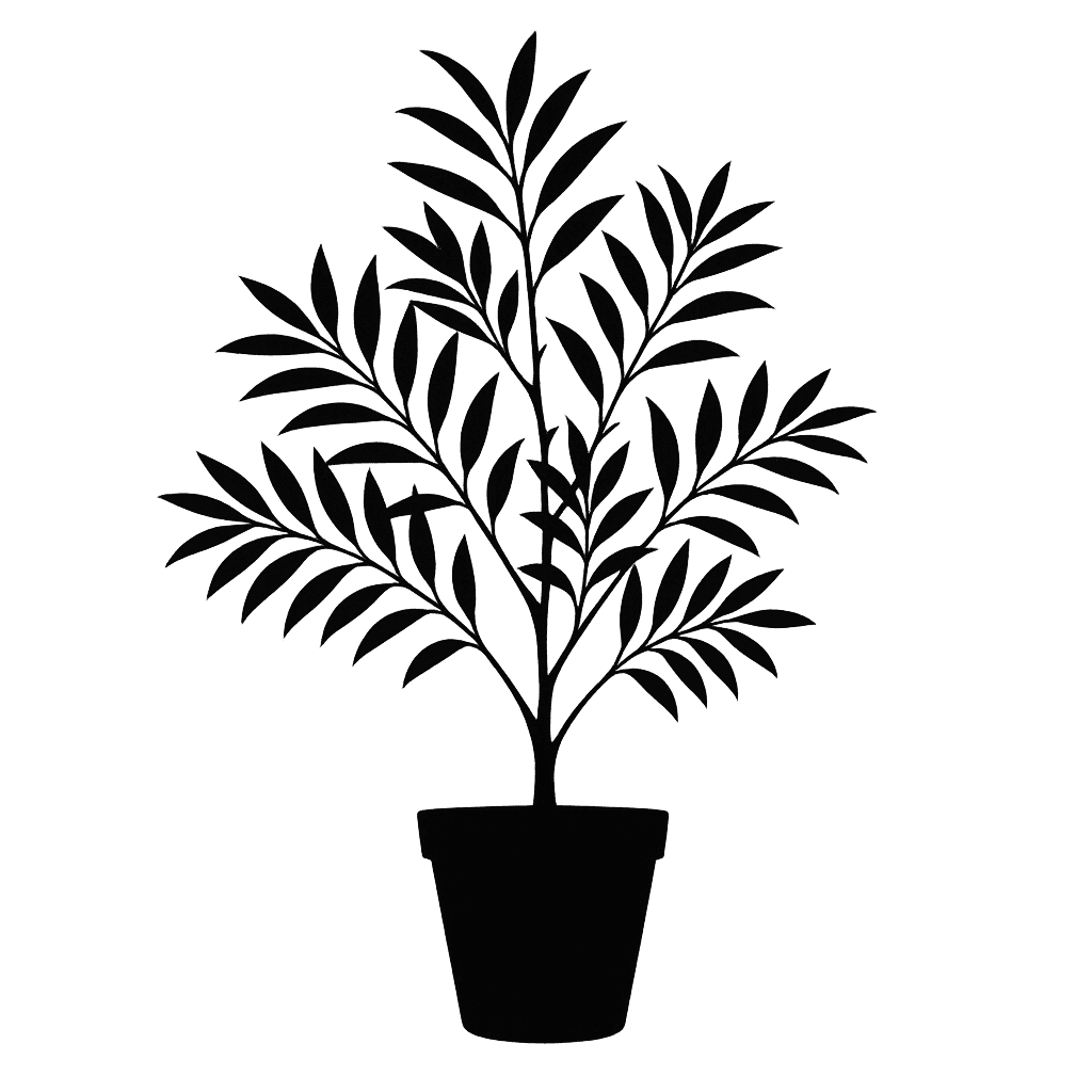 Macphersonia gracilis