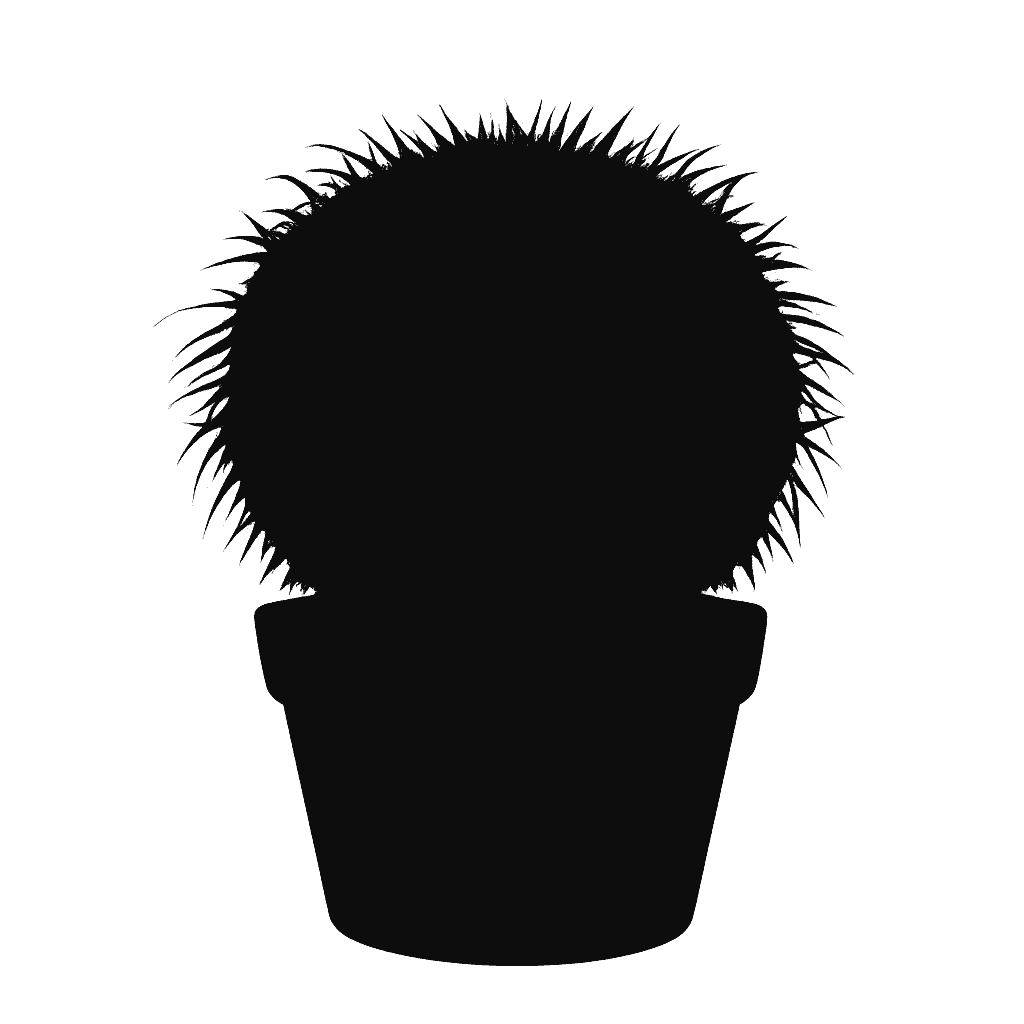 Echinocactus grusonii