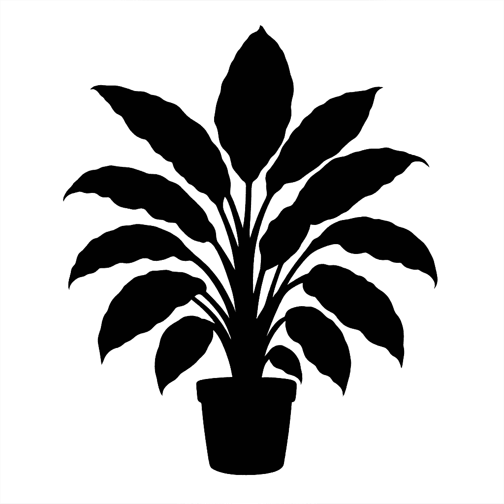 Dieffenbachia seguine