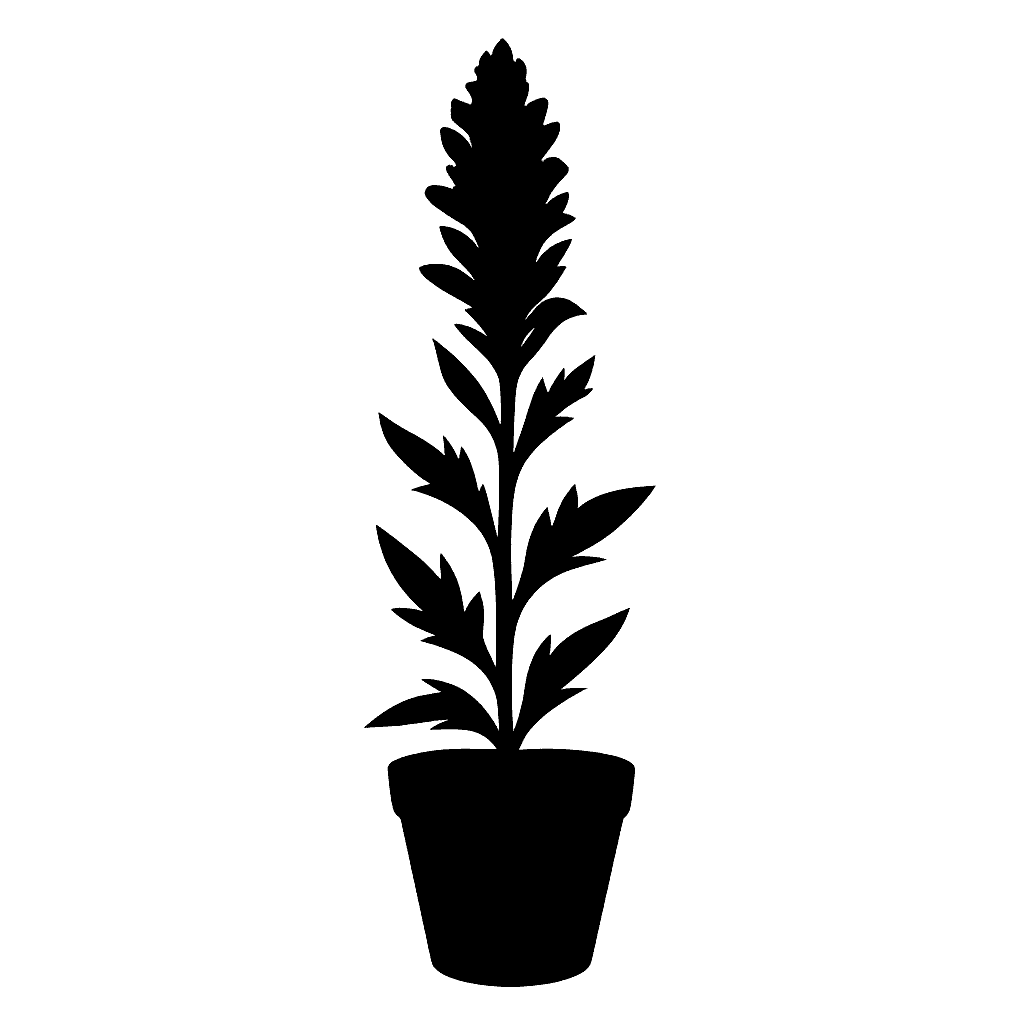 Orthocarpus imbricatus