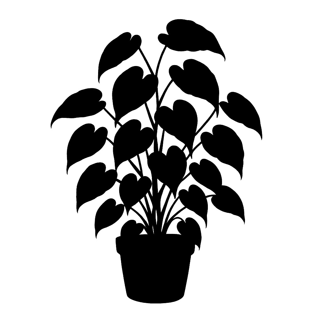 Epipremnum silvaticum