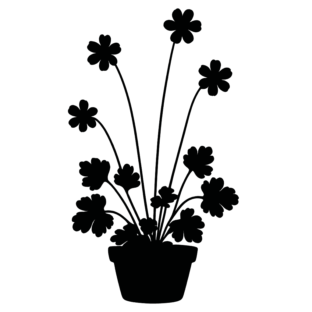 Oxygraphis delavayi