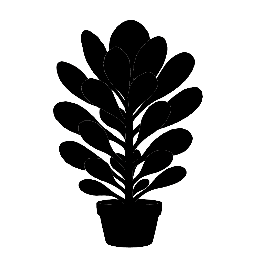 Kalanchoe luciae