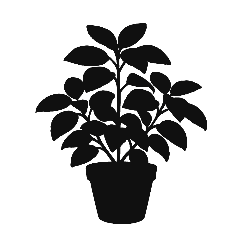 Fittonia albivenis