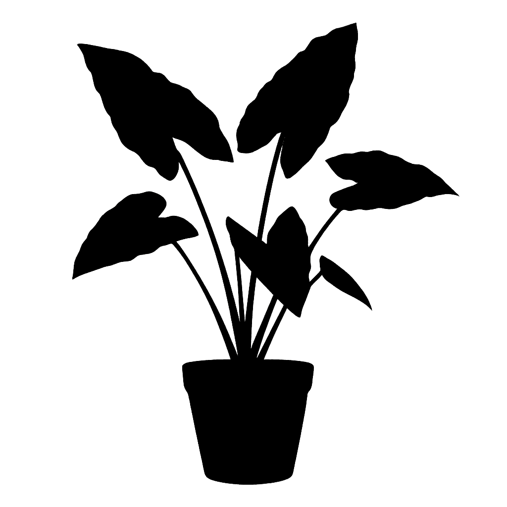 Xanthosoma sagittifolium