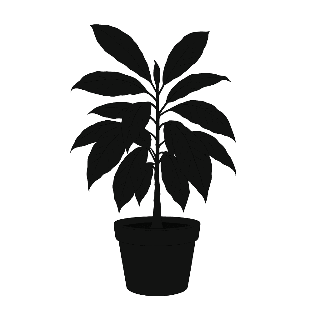 Theobroma grandiflorum