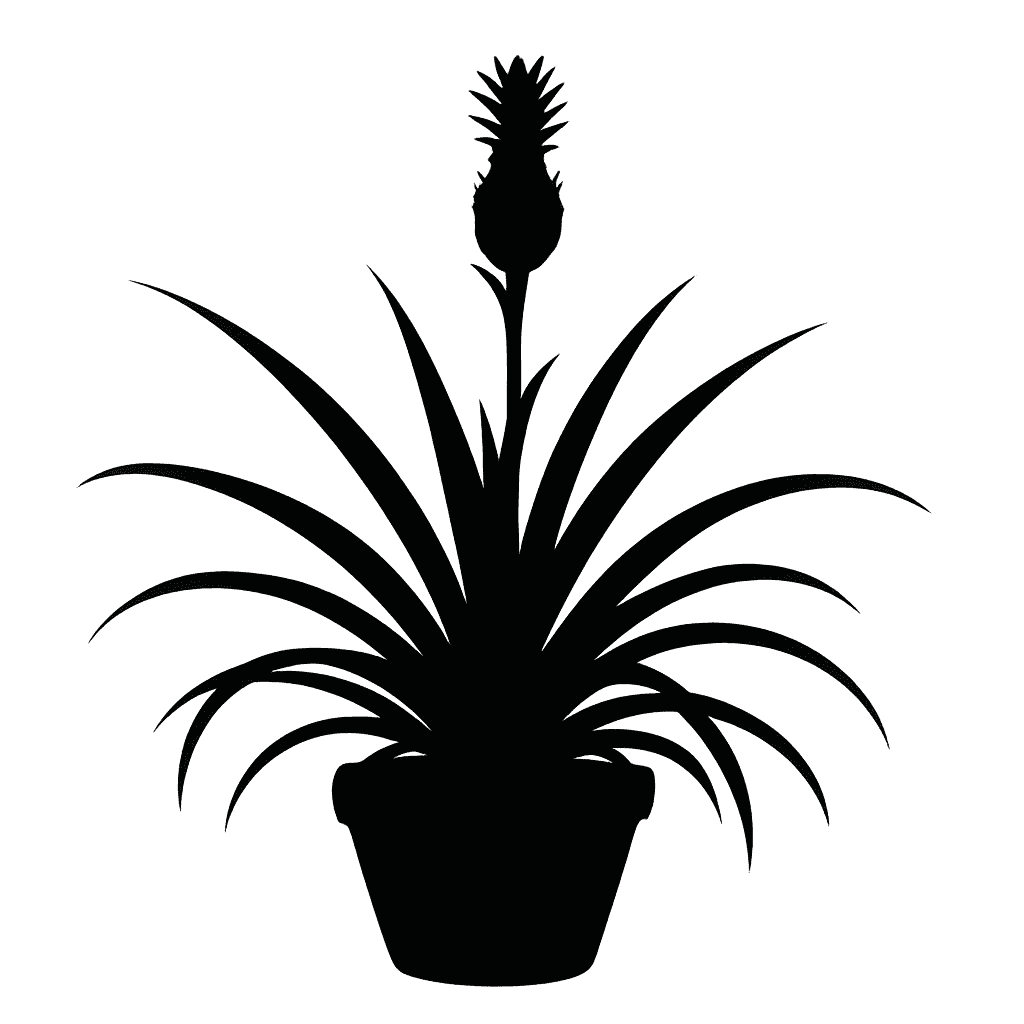 Ananas ananassoides