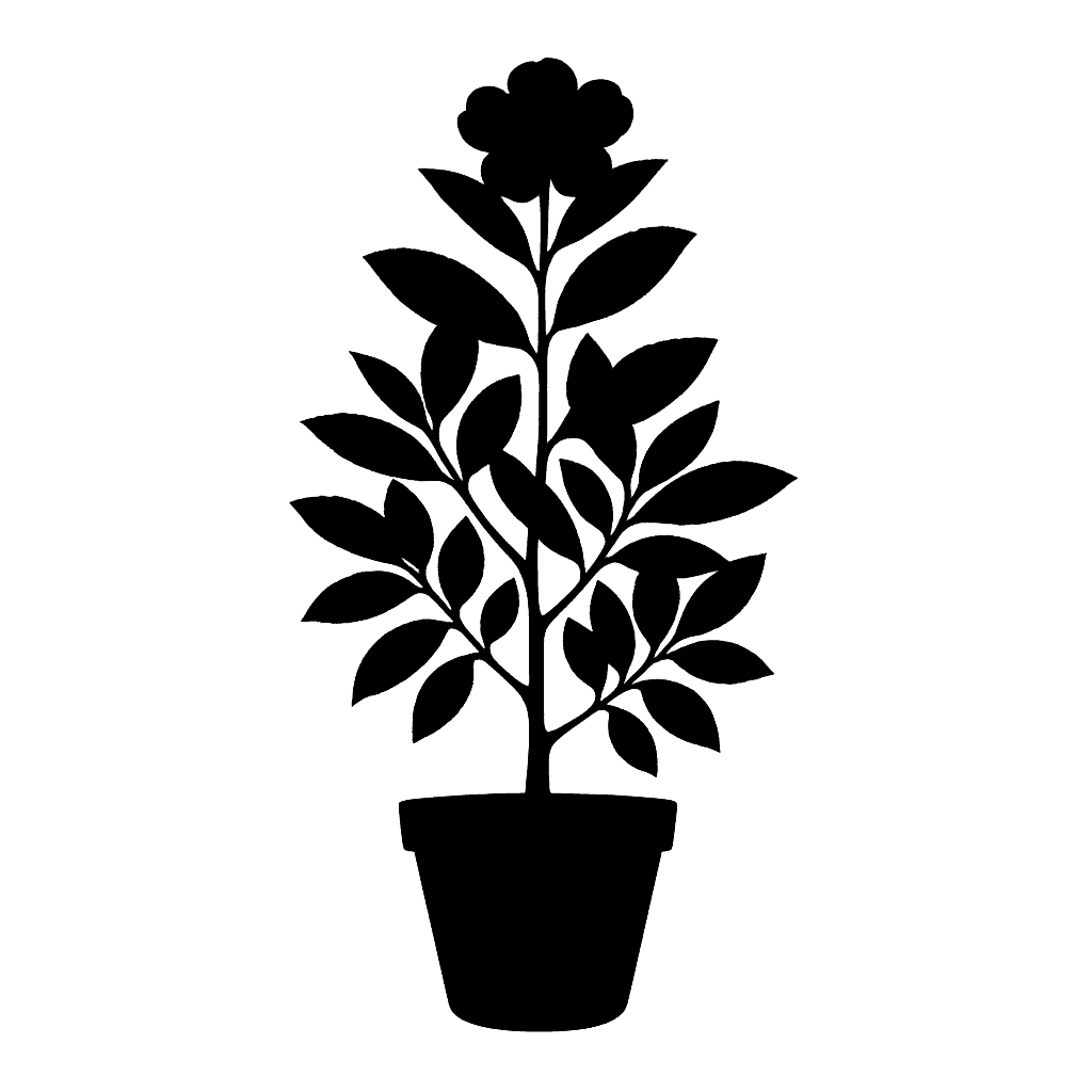 Franklinia alatamaha