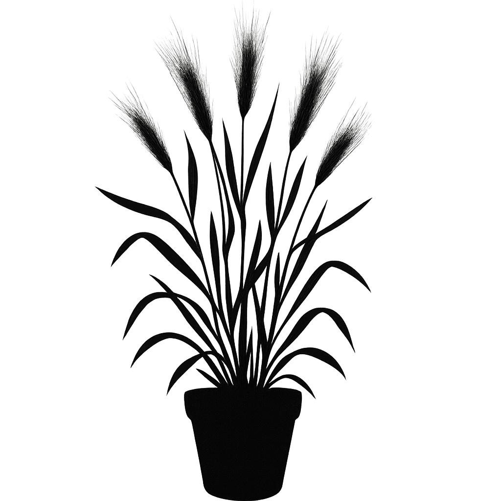 Hordeum vulgare