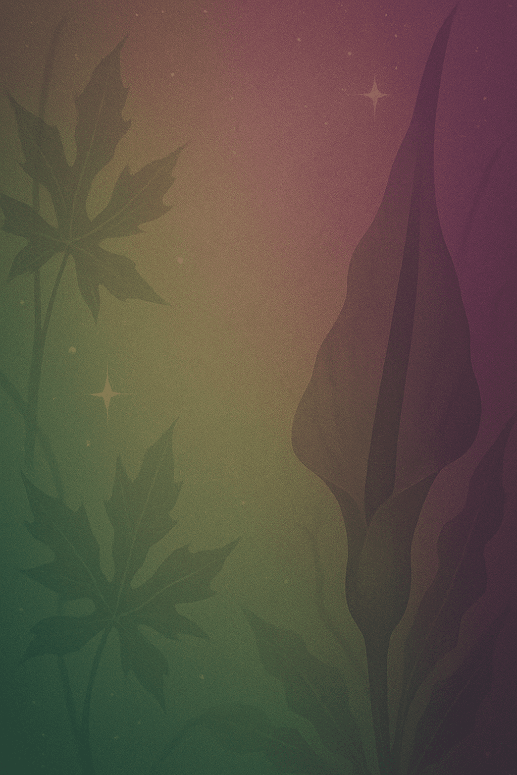 Card background