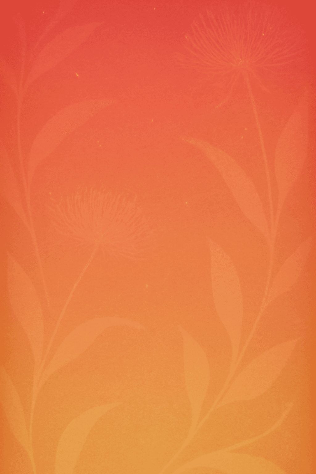 Card background