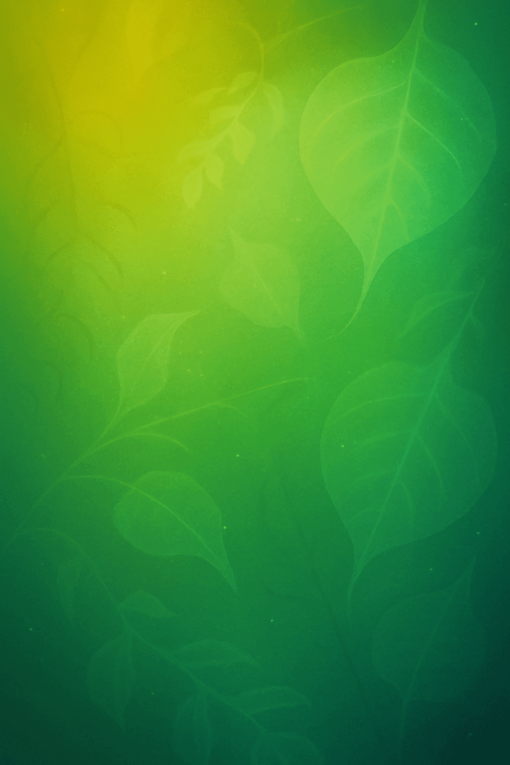 Card background